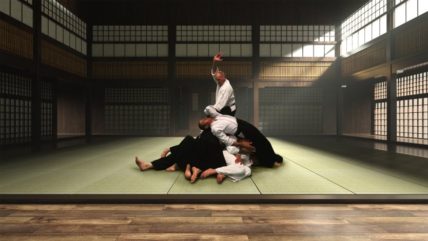 Aikibudo / Daito Ryu Jeudi 19H00